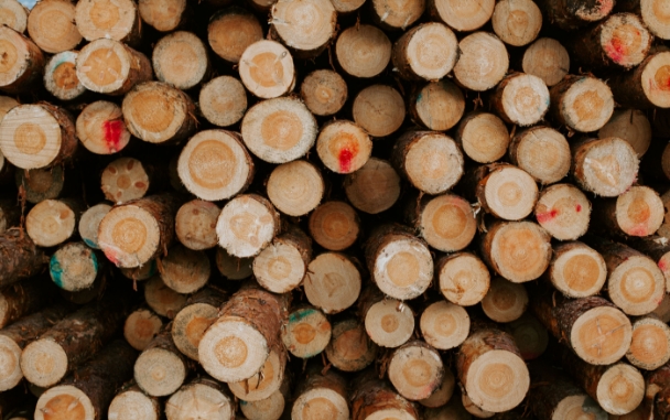 Tarkka katkonta takaa metsänomistajaystävälliset puukaupat